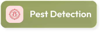Pest Detection