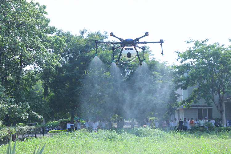 Drone Spraying Salam Kisan