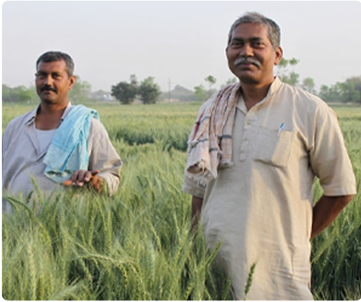 Agribusiness owners & entrepreneurs