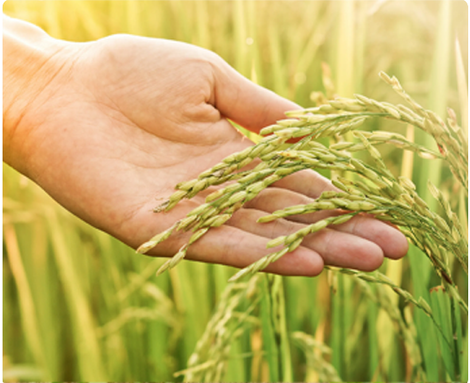 Anyone passionate about Agri-Tech 
