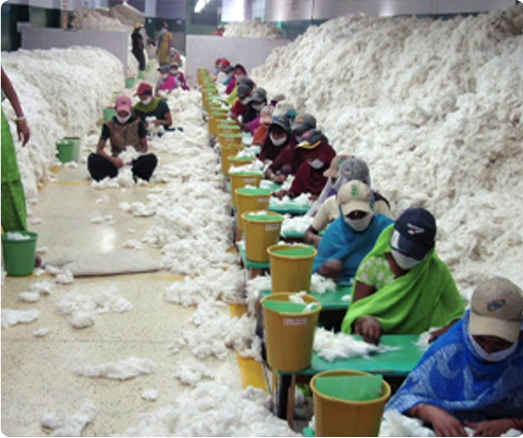 Cotton Mills 