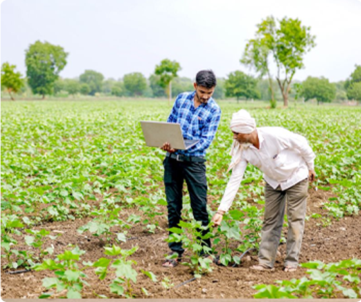 Individuals/Influncers with a strong farmer network 
